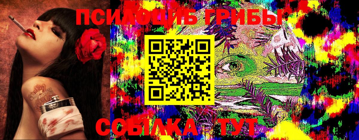 Галлюциногенные грибы Cubensis Белорецк